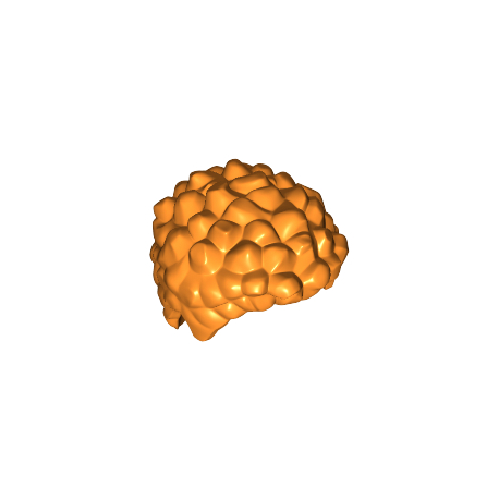 Haare kurz, gelockt, orange