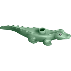 Baby Krokodil, sandgrün