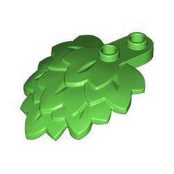 Laubblatt, hellgrün