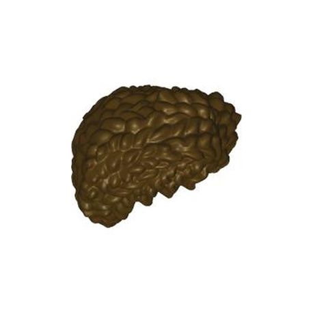 Haare halblang, gelockt, dunkelbraun