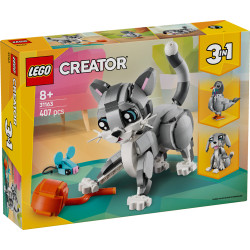 Graue Katze