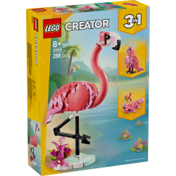 Wilde Tiere: Rosa Flamingo