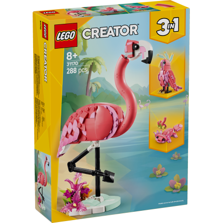 Wilde Tiere: Rosa Flamingo