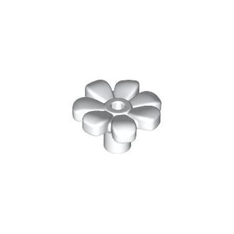 Blume, 7 Blütenblätter, weiss