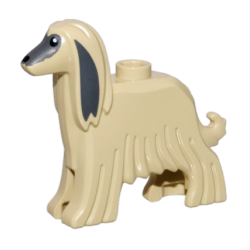 Afghanischer Windhund, beige